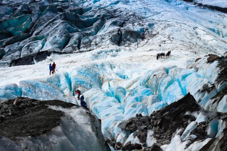 Franz Josef Glacier. West Coast, South Island, New Zealand