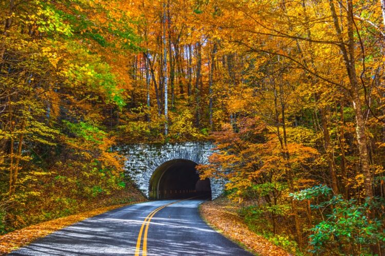 Blue Ridge Parkway Tunnel near Asheville North Carolina during Fall Autumn
