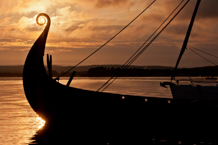 Viking ship