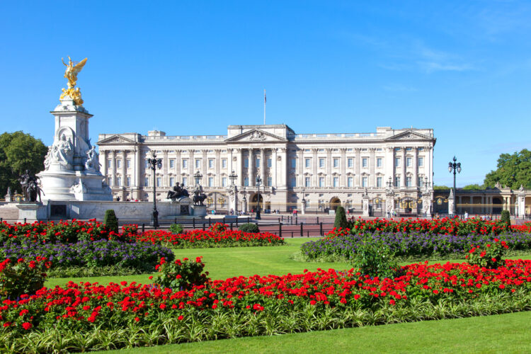 "Explore the majestic Buckingham Palace surrounded by vibrant red and purple flowers under a clear blue sky in the heart of London – a