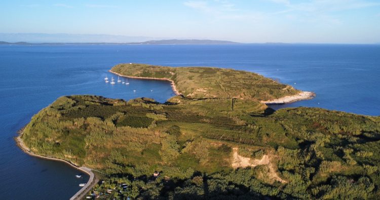 Susak island