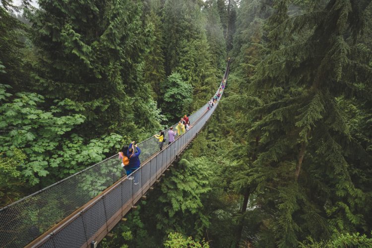 Capilano Suspension Bridge Park in North Vancouver, B.C. Canada