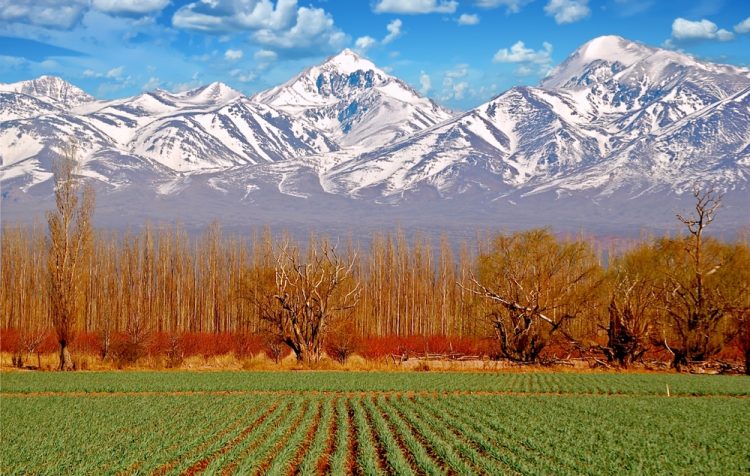 Argentina Andes Mendoza