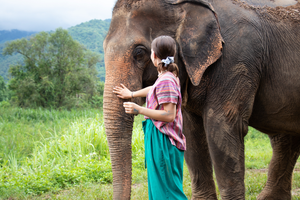 North of Chiang Mai, Thailand. A girl is stroking an elephant in a sanctuary for old elephants.