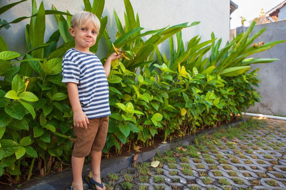 happy family vacation in thailand