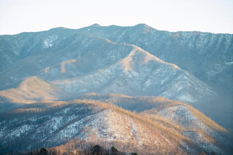 Wilderness Wildlife Week in Pigeon Forge, Tennessee Tennessee,Mountains,In,The,Winter