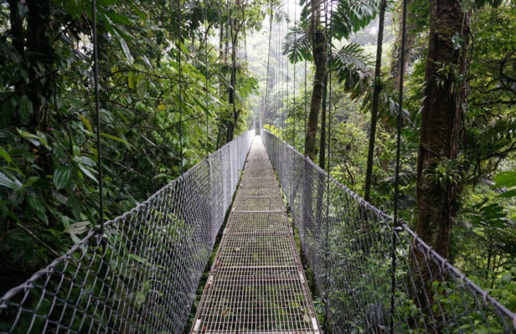 La Fortuna, Adventure and a Fortune of Memories Arenal Hanging Bridges, La Fortuna, Costa Rica