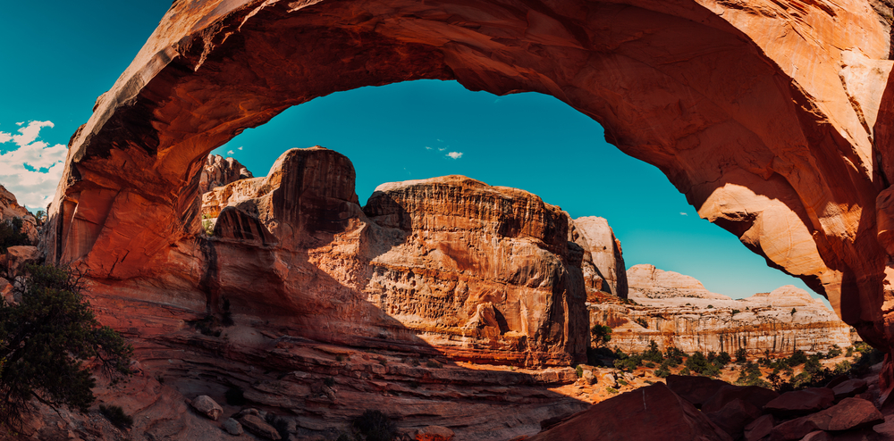 The Wonders of Capitol Reef National Park