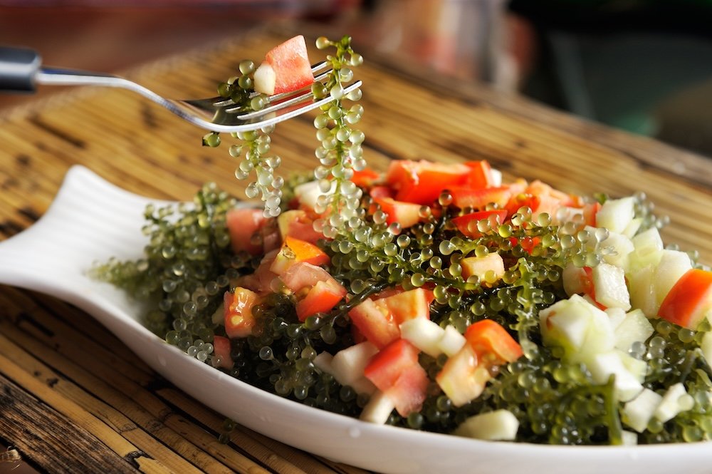 Healthy Japanese salad with green "caviar" laminaria