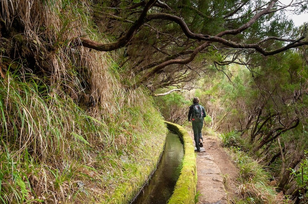 A hiker follows the path along a levada on the island of Madeira